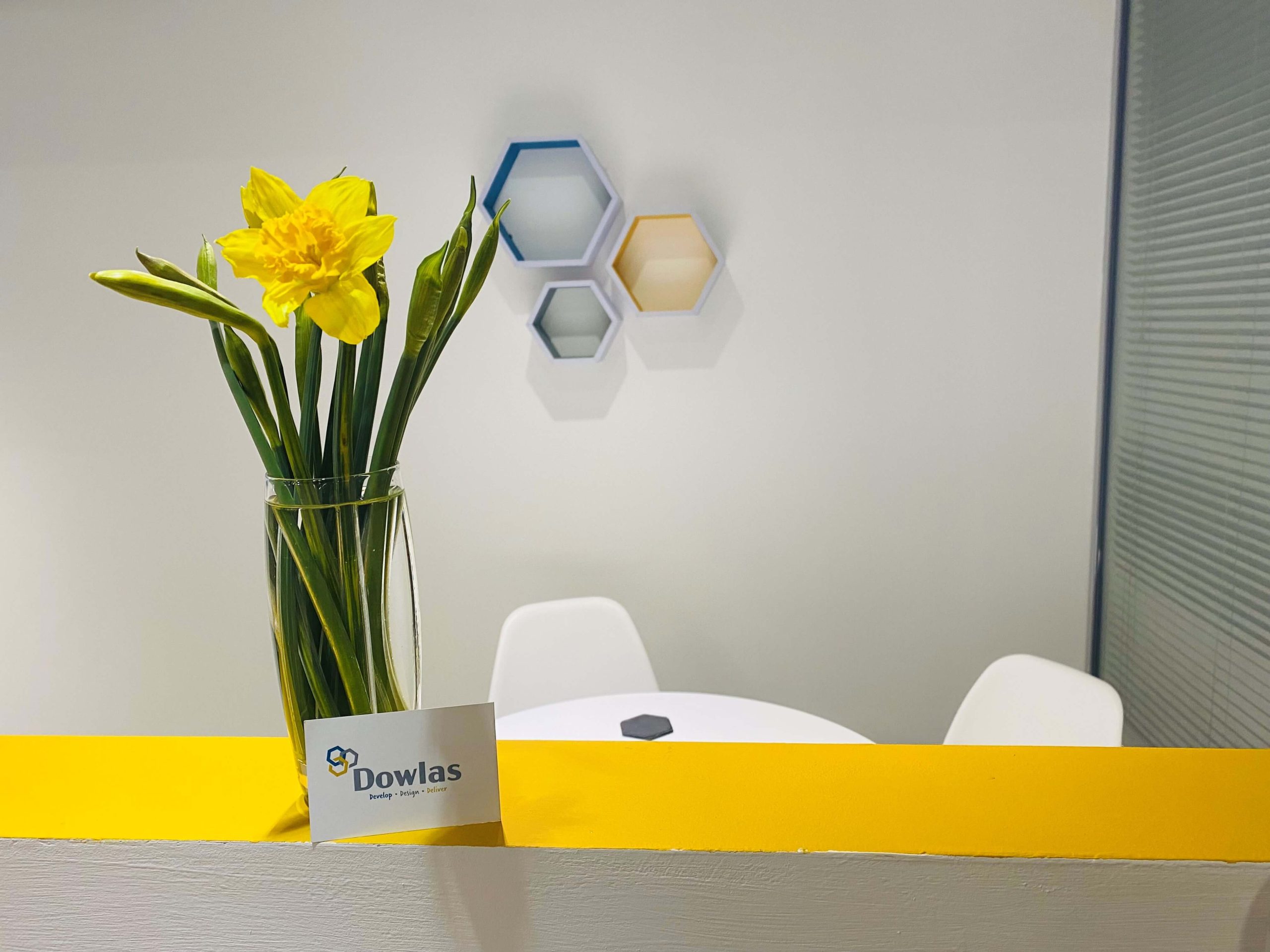 Dowlas Office Hexagon Branding, Meeting Room